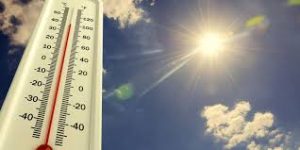 Penjelasan BMKG dan Tips Menghadapi Cuaca Terik