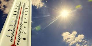 Penjelasan BMKG dan Tips Menghadapi Cuaca Terik